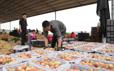 江苏海门:农产品"冷处理"带来增收致富"热效应"