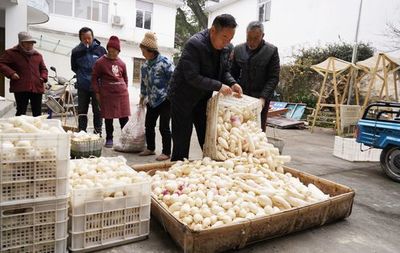双莲村:村企产销协作农产品顺利&ldquo;出山入市&rdquo;
