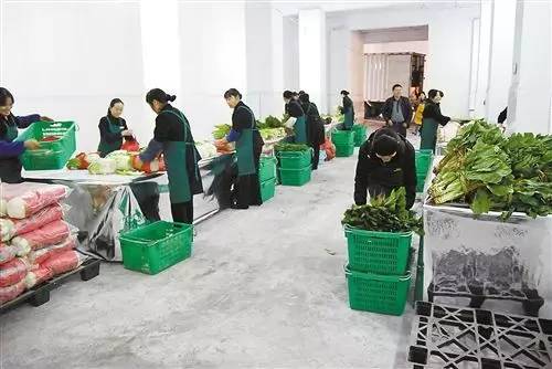 农产品四大流通模式,你看好哪一种?_其它_网