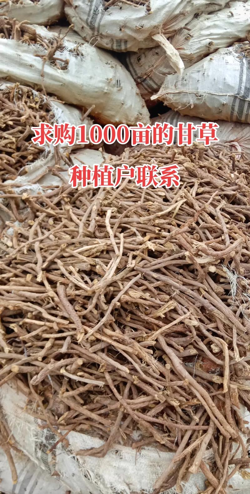 中药材 #药材收购 #助力三农 #新疆农产品信息服务#粮食 - 抖音