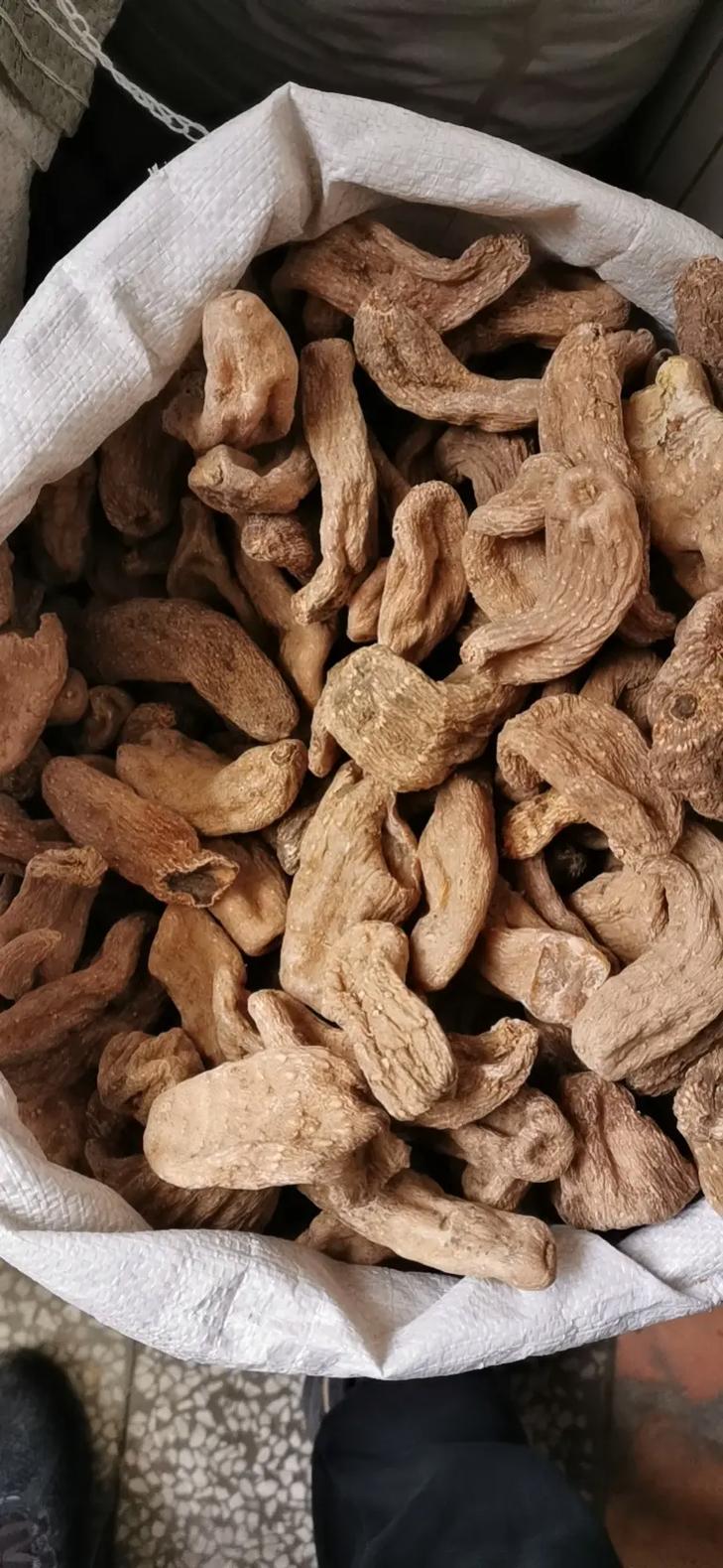 优质农产品原产地直击 陕西一二级天麻收购全攻略