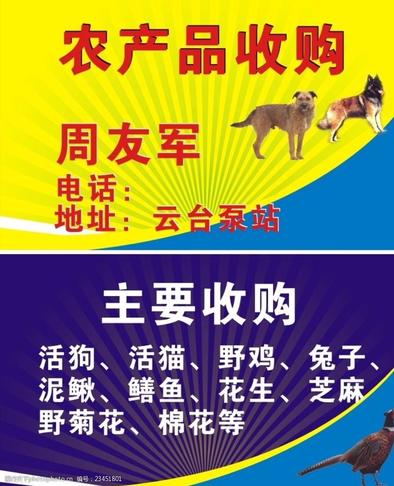 农产品收购名片 连接田间与市场的金色桥梁