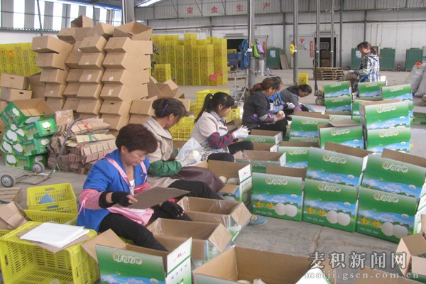 麦积区对上市花牛苹果进行农产品质量安全监测(图)--天水在线