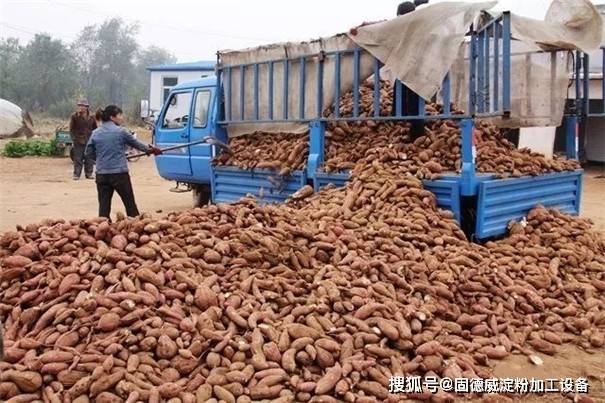 是否有相关农业扶持政策,是否适合开淀粉加工厂,是否便于开展农产品